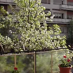 La Casa Di Chiara Apartment *